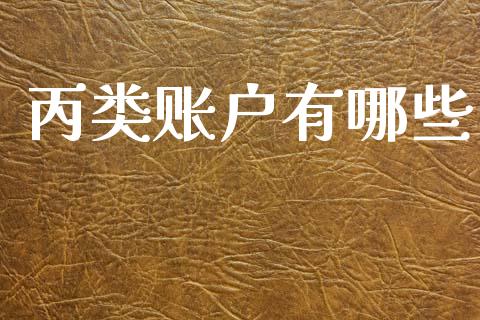 丙类账户有哪些_https://www.lansai.wang_期货资讯_第1张