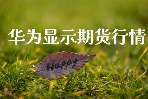 华为显示期货行情_https://www.lansai.wang_期货行情_第1张