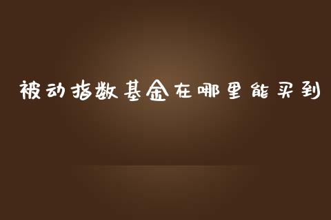 被动指数基金在哪里能买到_https://www.lansai.wang_期货品种_第1张