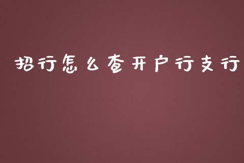 招行怎么查开户行支行_https://www.lansai.wang_期货学院_第1张
