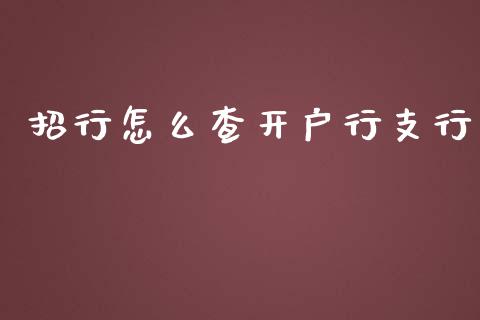 招行怎么查开户行支行_https://www.lansai.wang_期货学院_第1张