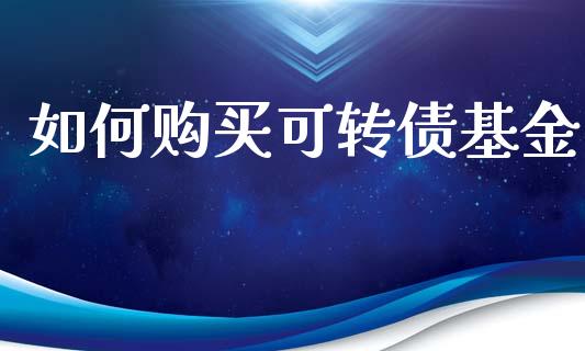 如何购买可转债基金_https://www.lansai.wang_期货资讯_第1张