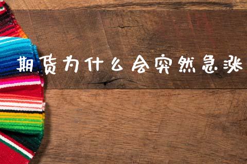 期货为什么会突然急涨_https://www.lansai.wang_期货资讯_第1张