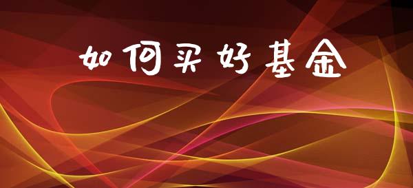 如何买好基金_https://www.lansai.wang_基金理财_第1张