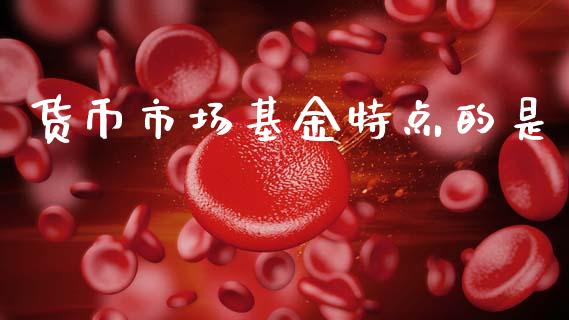 货币市场基金特点的是_https://www.lansai.wang_基金理财_第1张