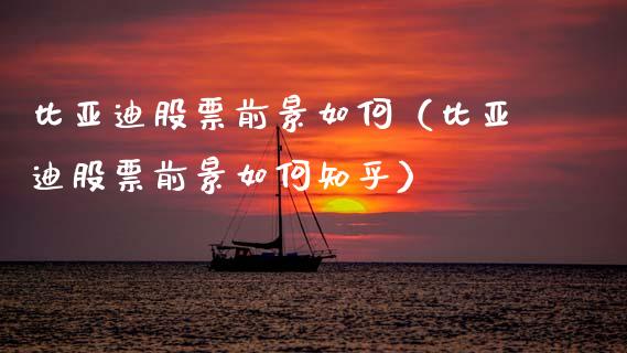 比亚迪股票前景如何（比亚迪股票前景如何知乎）_https://www.lansai.wang_股票问答_第1张