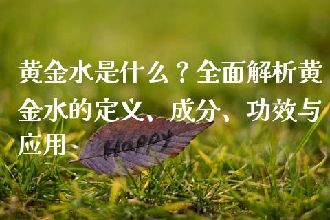 黄金水是什么？全面解析黄金水的定义、成分、功效与应用_https://www.lansai.wang_基金理财_第1张