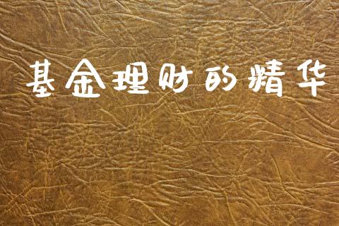 基金理财的精华_https://www.lansai.wang_基金理财_第1张