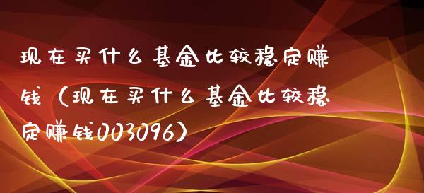 现在买什么基金比较稳定赚钱（现在买什么基金比较稳定赚钱003096）_https://www.lansai.wang_基金理财_第1张