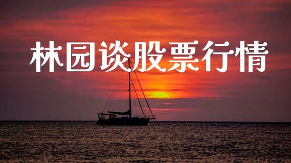 林园谈股票行情_https://www.lansai.wang_股票知识_第1张