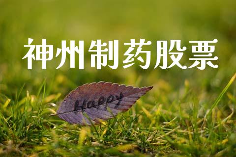 神州制药股票_https://www.lansai.wang_基金理财_第1张