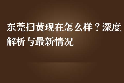 东莞扫黄现在怎么样？深度解析与最新情况_https://www.lansai.wang_股指期货_第1张