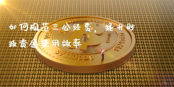 如何规范三公经费，提升财政资金使用效率_https://www.lansai.wang_期货资讯_第1张