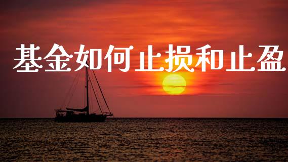 基金如何止损和止盈_https://www.lansai.wang_基金理财_第1张