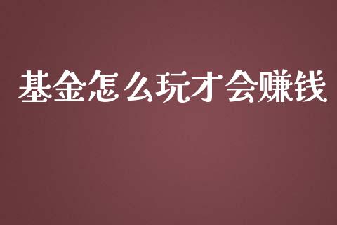 基金怎么玩才会赚钱_https://www.lansai.wang_基金理财_第1张