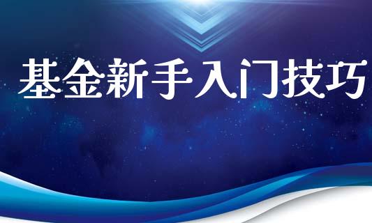 基金新手入门技巧_https://www.lansai.wang_基金理财_第1张