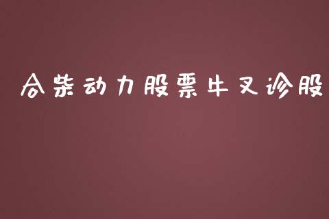 合柴动力股票牛叉诊股_https://www.lansai.wang_期货行情_第1张