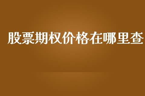 股票期权价格在哪里查_https://www.lansai.wang_期货行情_第1张