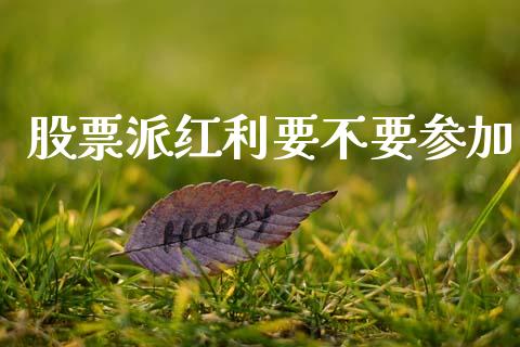 股票派红利要不要参加_https://www.lansai.wang_基金理财_第1张