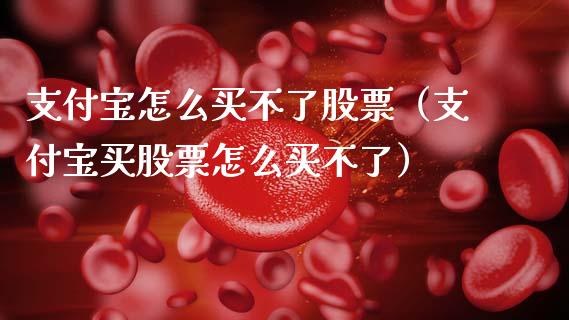 支付宝怎么买不了股票（支付宝买股票怎么买不了）_https://www.lansai.wang_股票问答_第1张