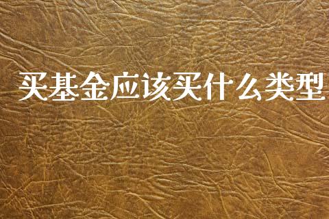 买基金应该买什么类型_https://www.lansai.wang_未分类_第1张