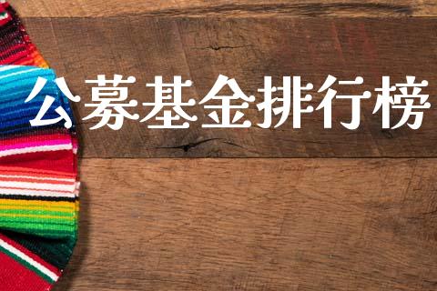 公募基金排行榜_https://www.lansai.wang_基金理财_第1张