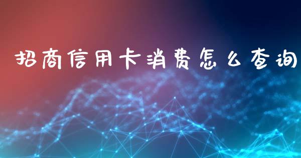 招商信用卡消费怎么查询_https://www.lansai.wang_期货品种_第1张