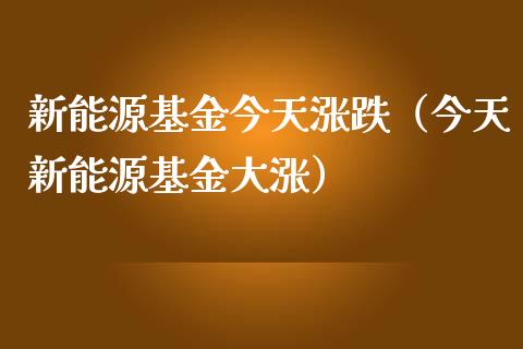 新能源基金今天涨跌（今天新能源基金大涨）_https://www.lansai.wang_基金理财_第1张