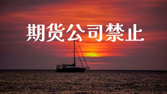 期货公司禁止_https://www.lansai.wang_期货行情_第1张