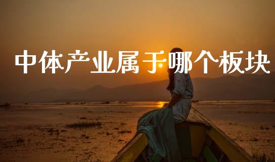 中体产业属于哪个板块_https://www.lansai.wang_恒生指数_第1张