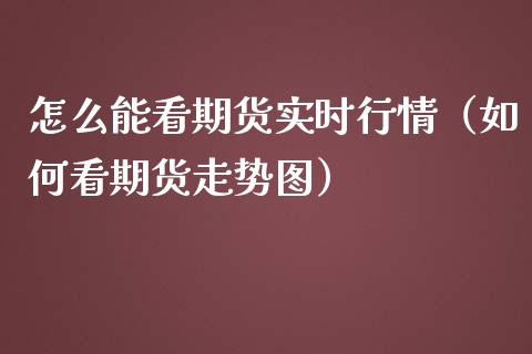 怎么能看期货实时行情（如何看期货走势图）_https://www.lansai.wang_期货资讯_第1张