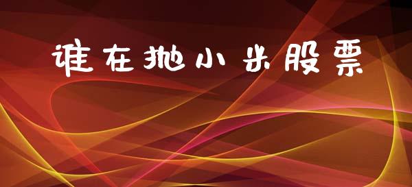 谁在抛小米股票_https://www.lansai.wang_期货行情_第1张