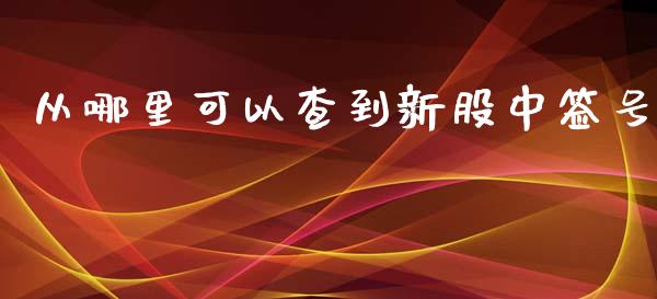 从哪里可以查到新股中签号_https://www.lansai.wang_期货资讯_第1张