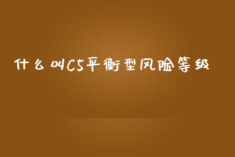 什么叫C5平衡型风险等级_股指期货_第1张_起点财经 什么叫C5平衡型风险等级_https://www.lansai.wang_股指期货_第1张