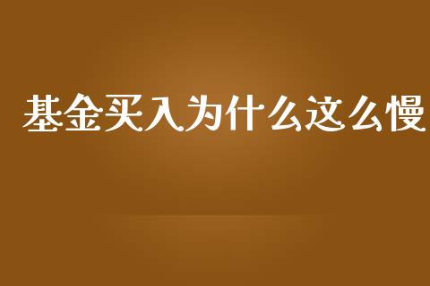 基金买入为什么这么慢_https://www.lansai.wang_基金理财_第1张