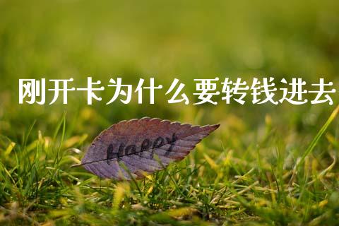 刚开卡为什么要转钱进去_https://www.lansai.wang_恒生指数_第1张