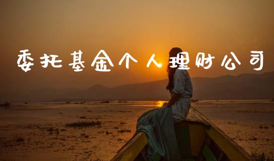 委托基金个人理财公司_https://www.lansai.wang_基金理财_第1张