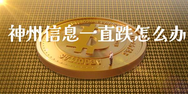神州信息一直跌怎么办_https://www.lansai.wang_基金理财_第1张