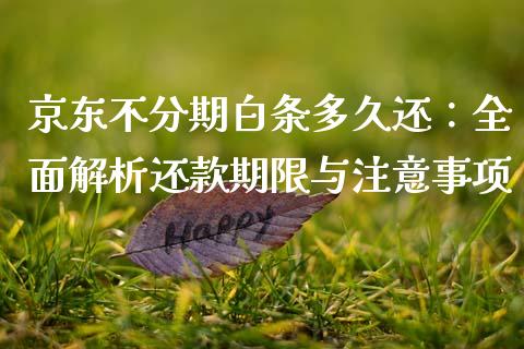 京东不分期白条多久还：全面解析还款期限与注意事项_https://www.lansai.wang_期货学院_第1张
