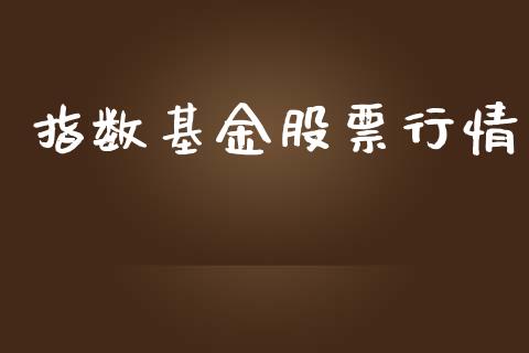 指数基金股票行情_https://www.lansai.wang_股票知识_第1张