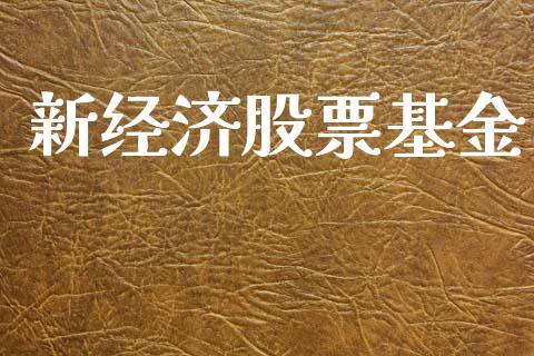 新经济股票基金_https://www.lansai.wang_基金理财_第1张