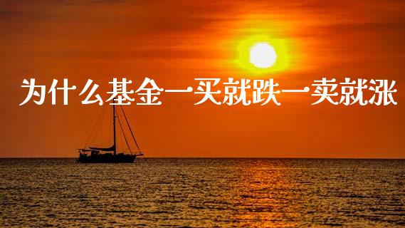 为什么基金一买就跌一卖就涨_https://www.lansai.wang_基金理财_第1张