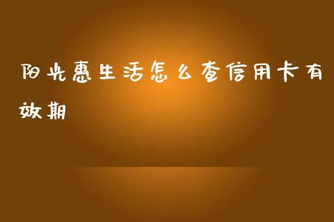 阳光惠生活怎么查信用卡有效期_https://www.lansai.wang_期货资讯_第1张