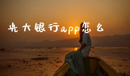 光大银行app怎么_https://www.lansai.wang_股指期货_第1张