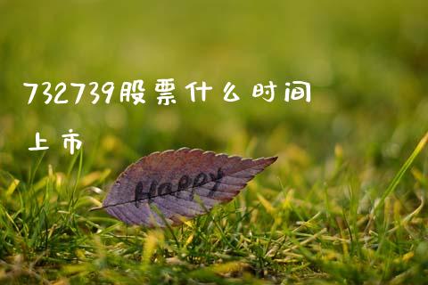 732739股票什么时间上市_https://www.lansai.wang_期货行情_第1张