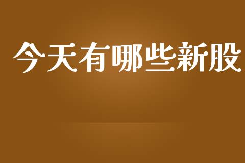 今天有哪些新股_https://www.lansai.wang_股票问答_第1张