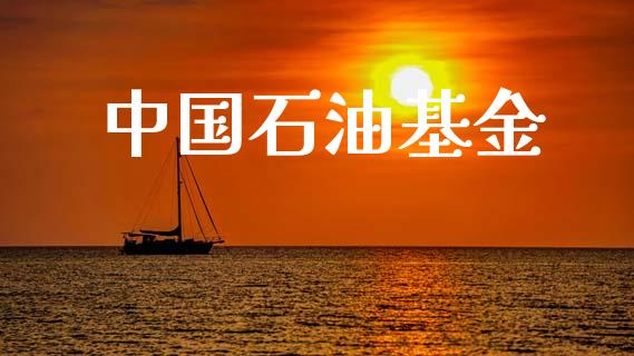 中国石油基金_https://www.lansai.wang_基金理财_第1张