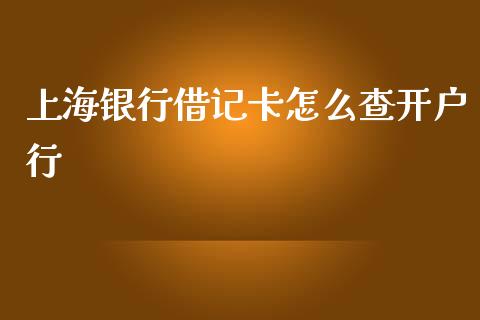 上海银行借记卡怎么查开户行_https://www.lansai.wang_期货品种_第1张
