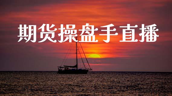期货操盘手直播_https://www.lansai.wang_期货直播_第1张