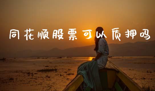 同花顺股票可以质押吗_https://www.lansai.wang_基金理财_第1张